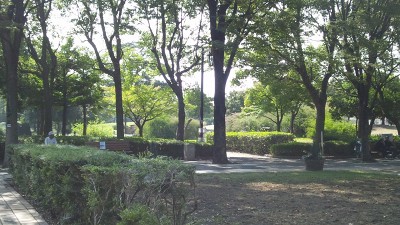 朝宮公園