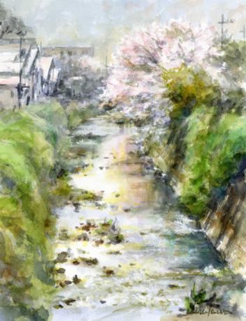 川辺の桜（デモンストレーション2）：F6