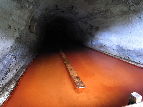 五十米坑坑口の内部