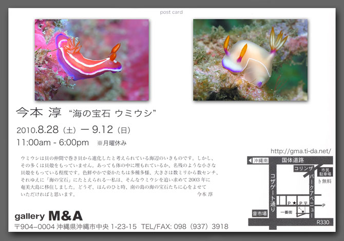 「海の宝石 ウミウシ 沖縄展」 本日 8月28日より開催です