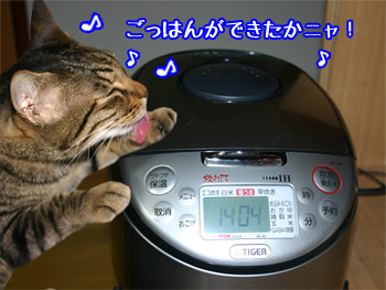 炊飯器猫110620a