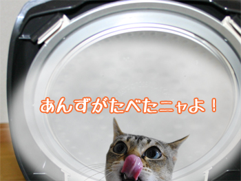 炊飯器猫110620d