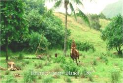 1867年ある島で、馬を走らすリカウドという男