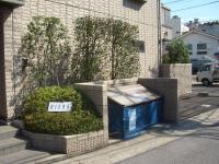 埼玉県さいたま市 マンション 集合住宅 緑地管理 シラカシ ソヨゴ