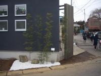 埼玉県さいたま市 庭師 植木屋 造園業 黒竹 植栽 坪庭 庭づくり