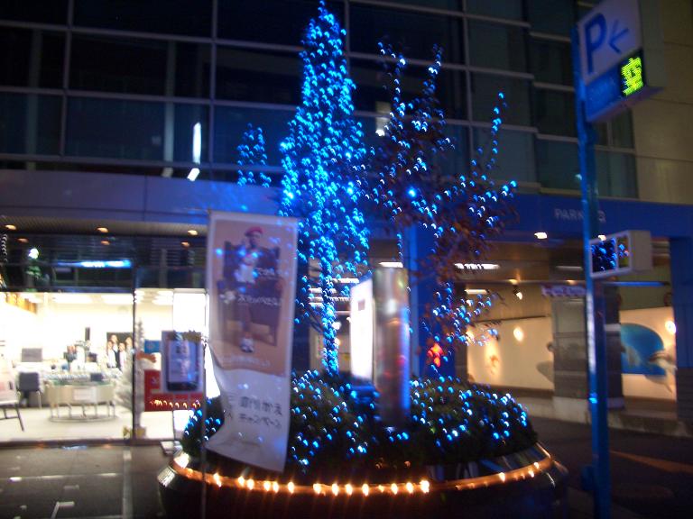 クリスマスツリーイルミネーション電飾(LED)取り付け さいたま市造園業者のブログ