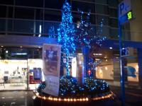 埼玉県さいたま市 庭師 植木屋 造園業 クリスマスツリー イルミネーション電飾(LED)