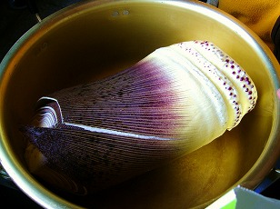 タケノコ　鍋
