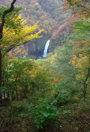 蔵王の滝