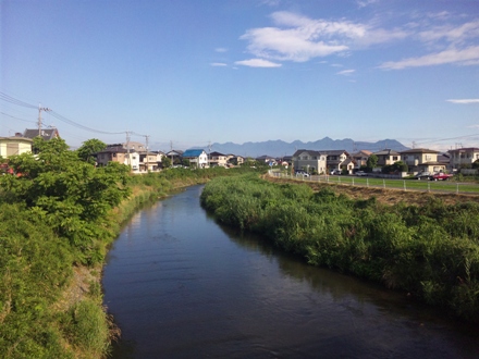朝の井野川です
