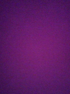 s-紫ひな抹茶、色紙紫 004