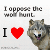 I Love Wolves. I Oppose the Wolf Hunt WildlifeAdoption.org