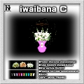 iwaibana C