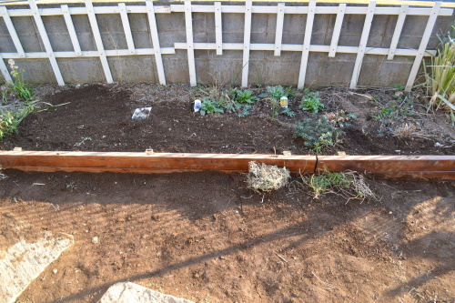 庭にいます 花壇の枠を奥さんに撤去されたので作り直した