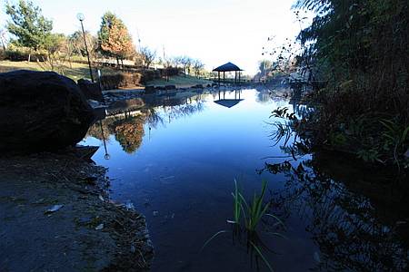 上谷戸川源流の池