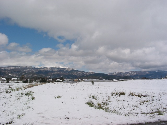0416雪だぜ～ (上古田)