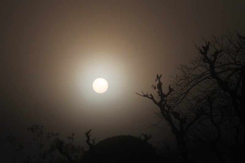 濃霧に咽ぶ太陽