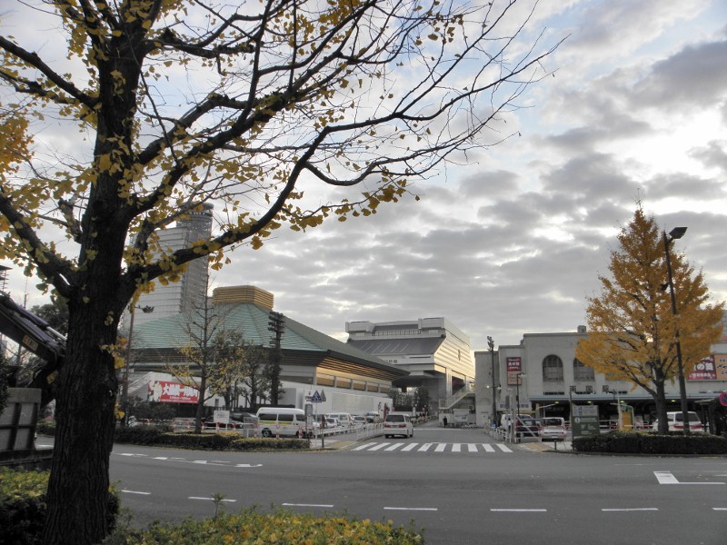 国技館と江戸東京博物館