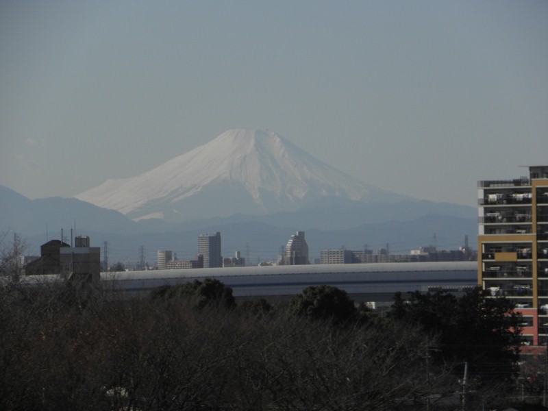 戸田市から見た富士山