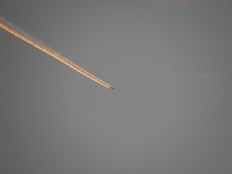 夕陽に染まる飛行機雲